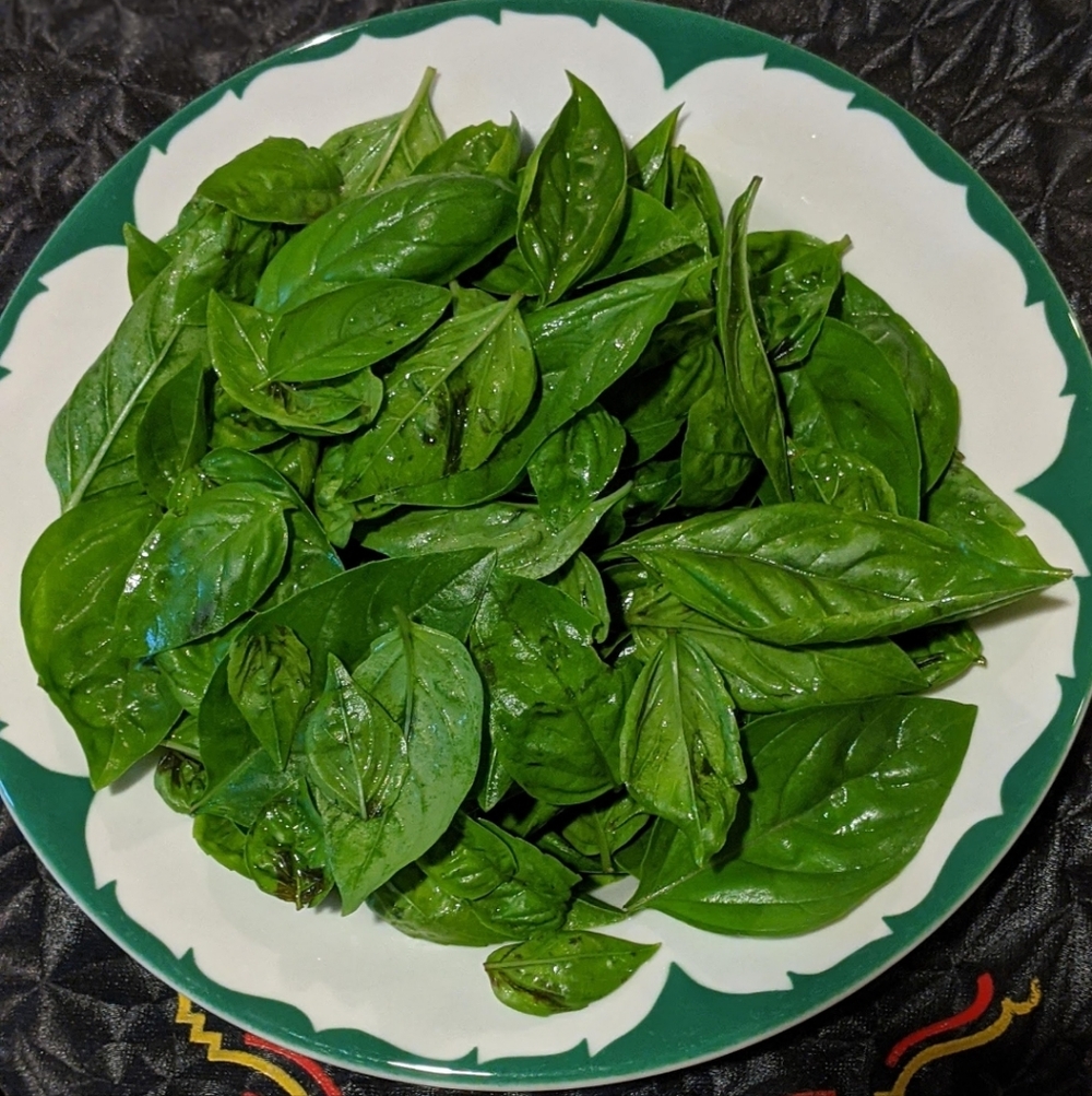 Sweet Basil Seed Packet - Picture 2 of 2